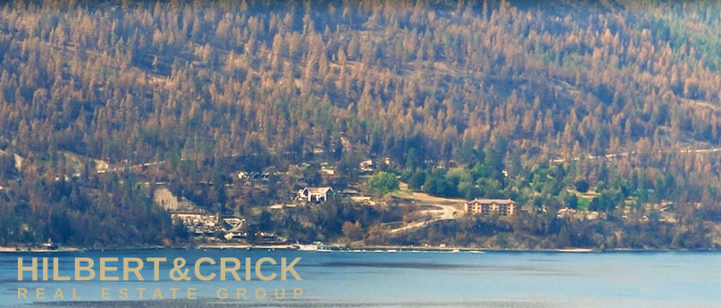 mcdougall creek wild fire west kelowna 2023