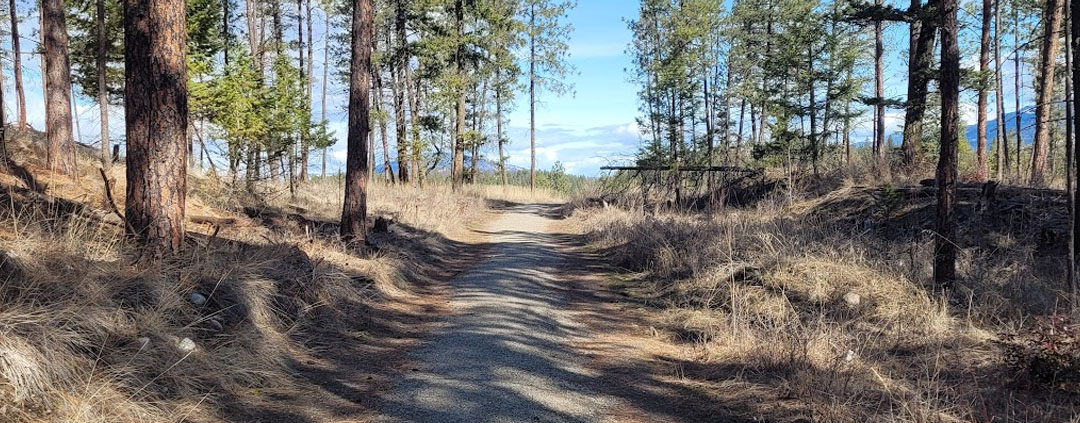 mckinley-beach-dog-walking-trail