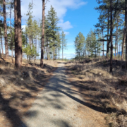 mckinley-beach-dog-walking-trail