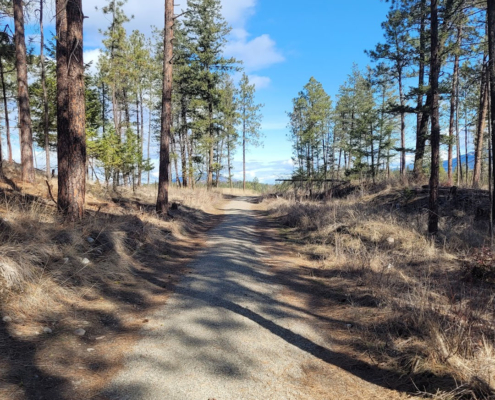 mckinley-beach-dog-walking-trail