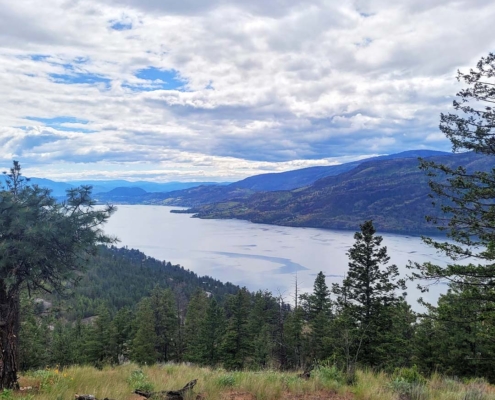Kelowna Lakefront Homes for Sale in 2025