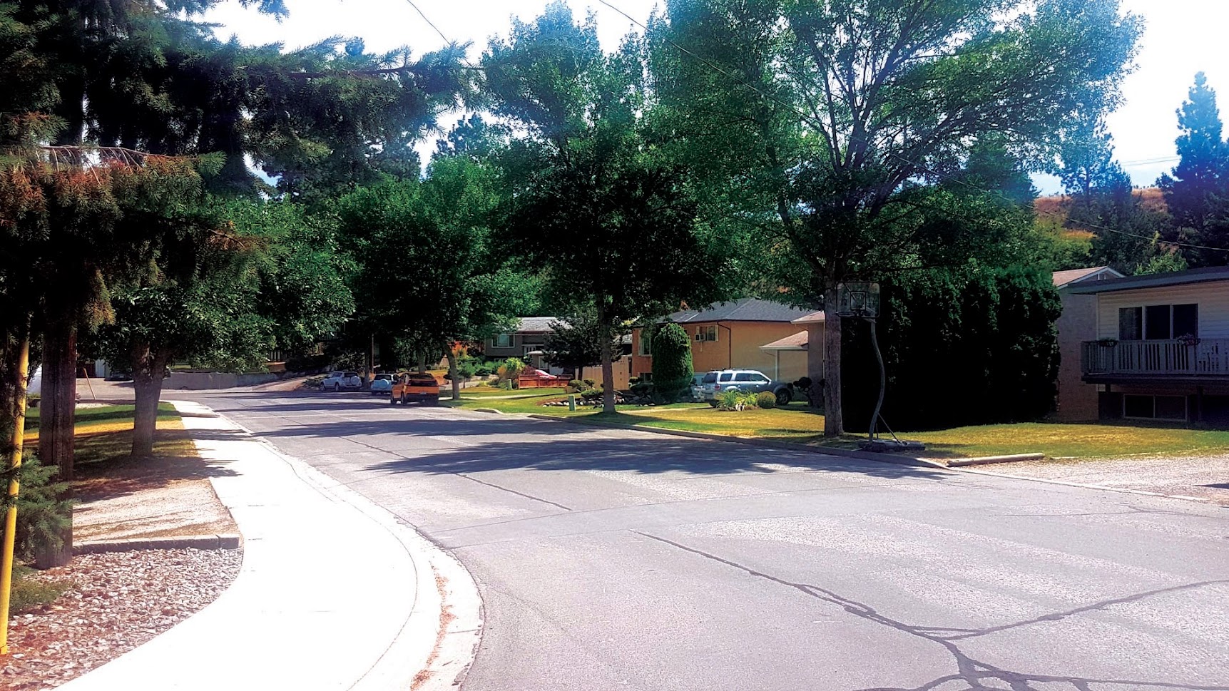 springfield-neighbourhood
