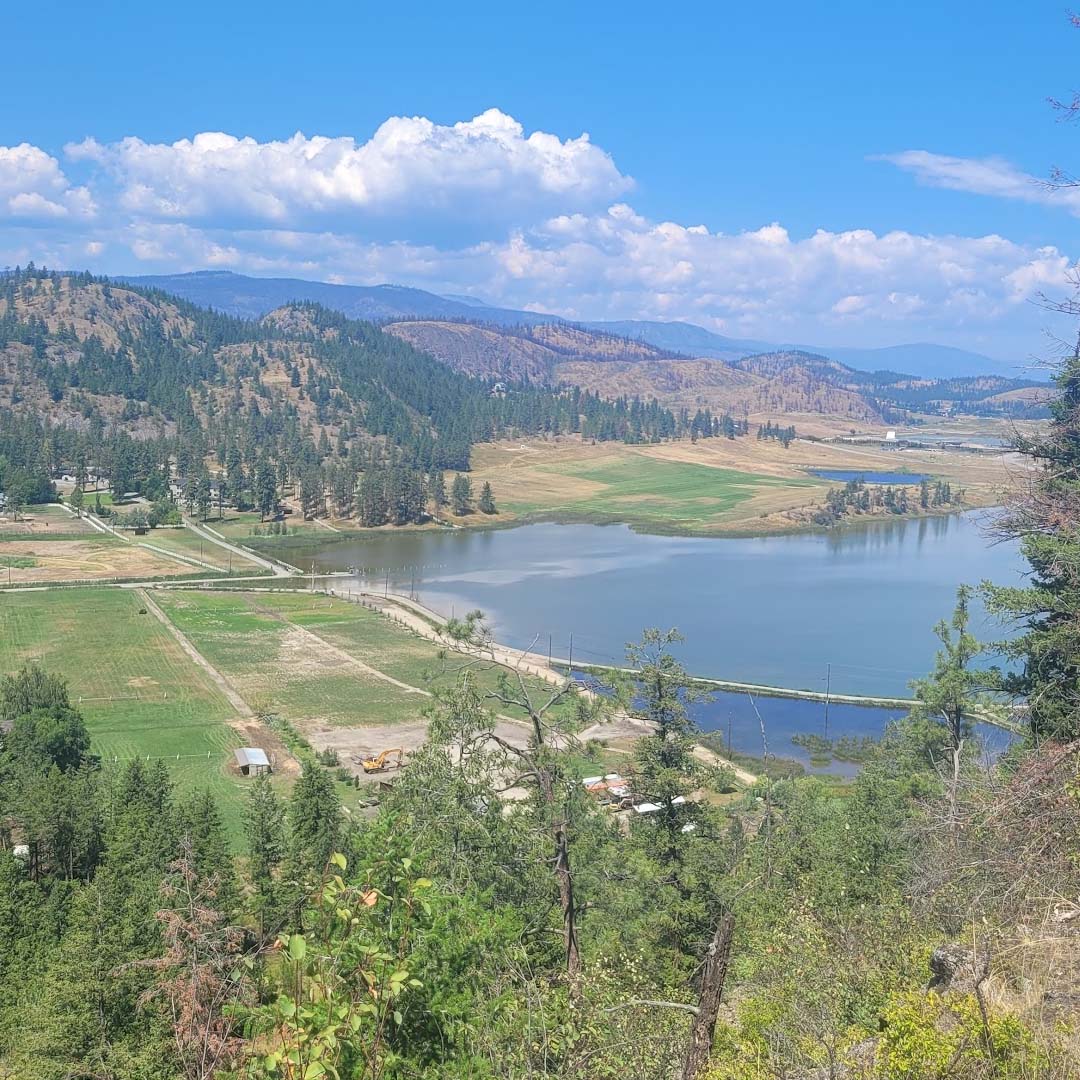 Buying or Renting a Condo in Kelowna for UBCO Students