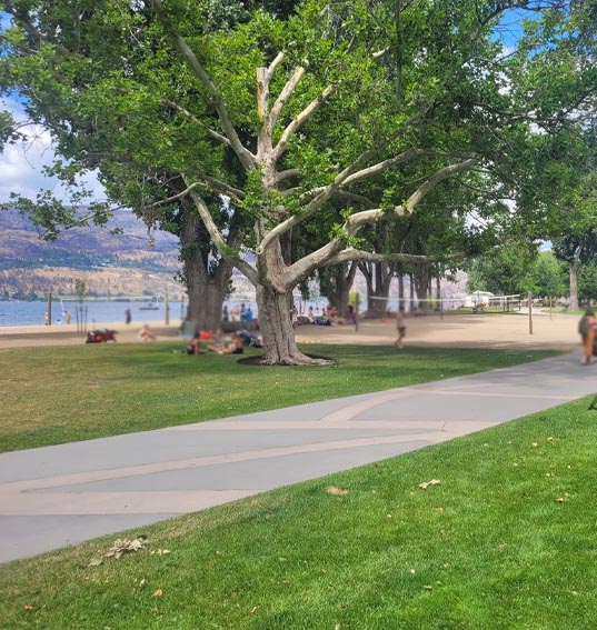 downtown kelowna condo for sale