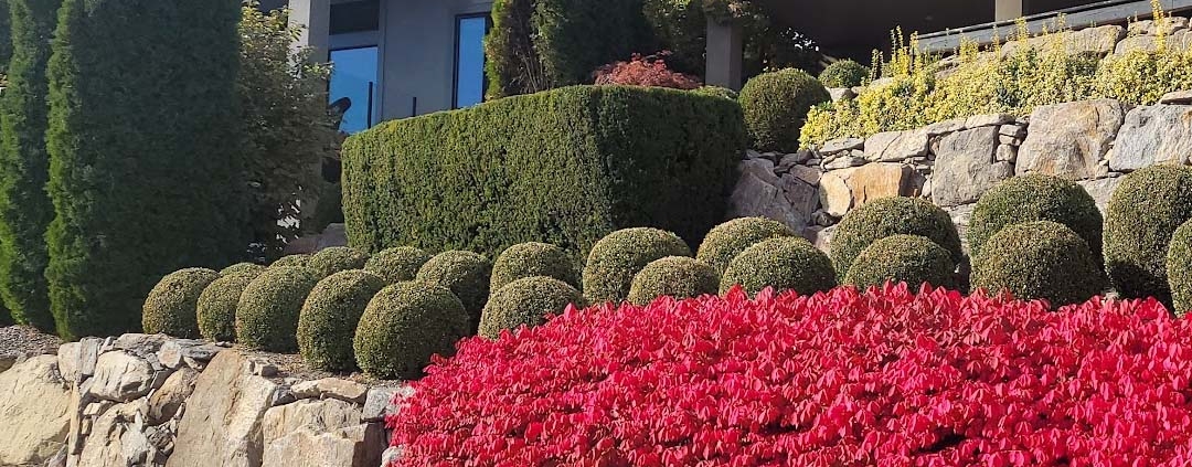 Is Now a Good Time to Buy New Listings in Kelowna