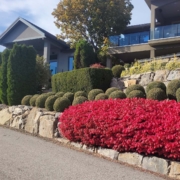 Is Now a Good Time to Buy New Listings in Kelowna