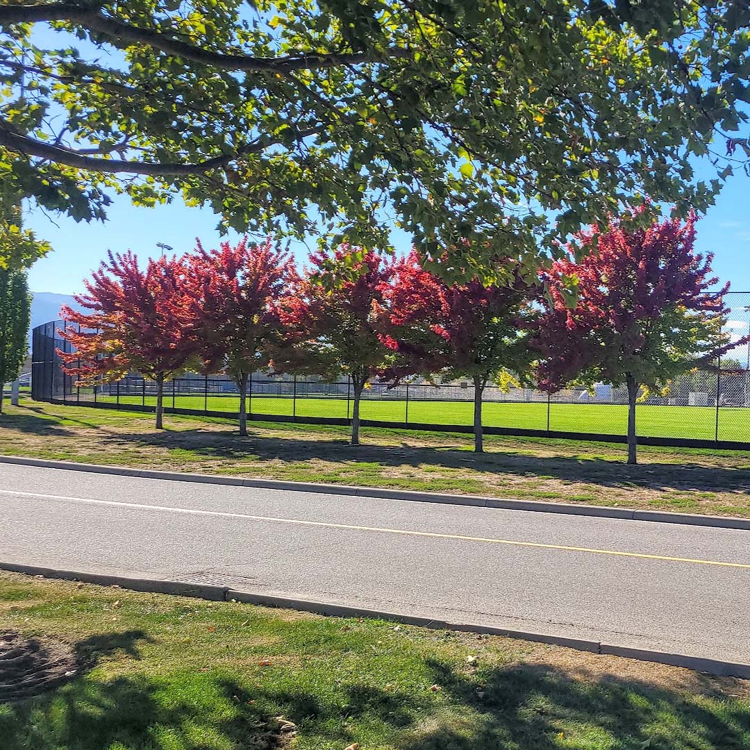 When is it a Good Time to Buy New real estate Listings Kelowna