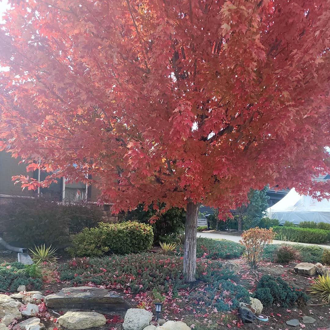 When is it a Good Time to Buy New real estate Listings in Kelowna