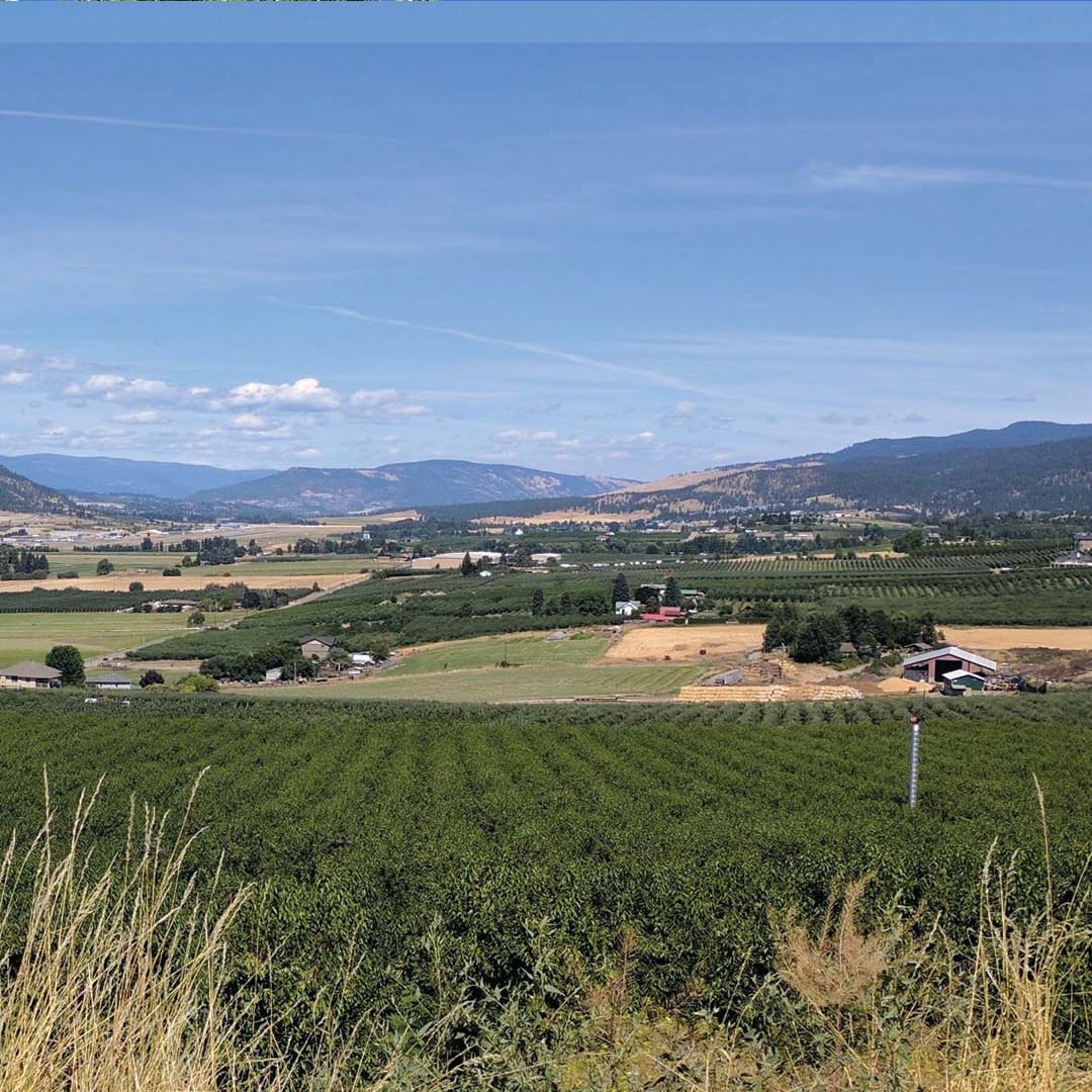 Real Estate in South East Kelowna Real Estate in South East Kelowna