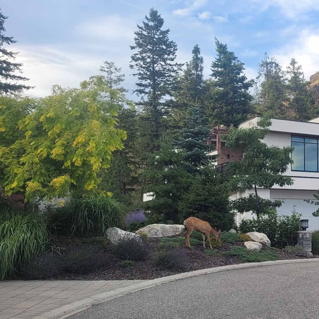 Real Estate What the Kelowna Numbers Say vs What Buyers Are Feeling