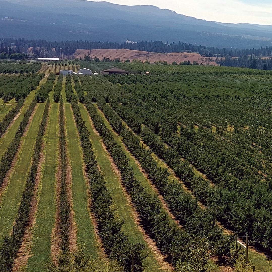 best neighbourhood for farming in kelowna