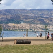 best neighbourhood for walking in kelowna