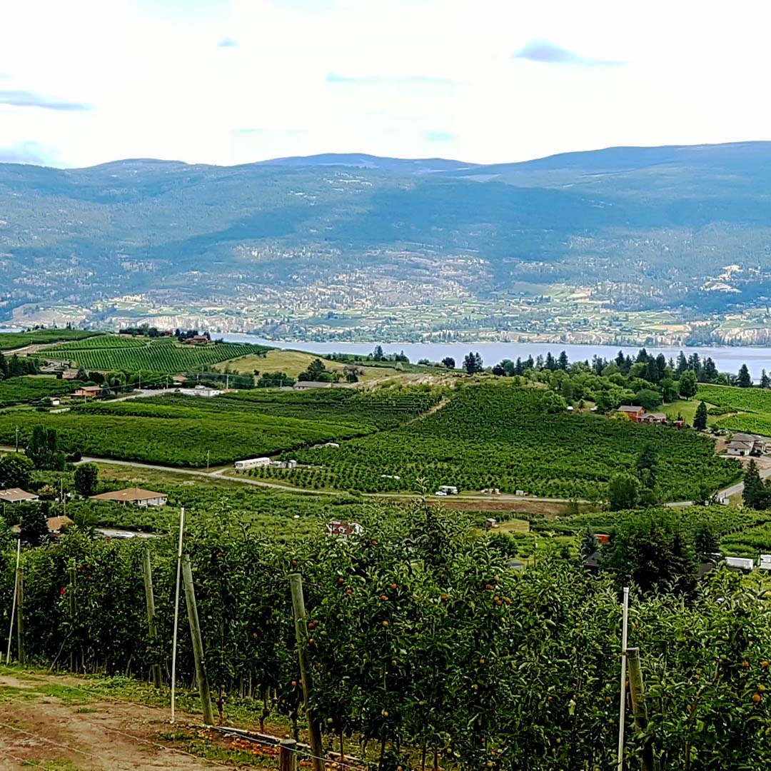 best neighbourhoods in kelowna bc